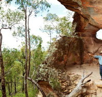 Pilliga National Park - Accommodation Batemans Bay