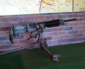 Woodpecker Gun - Accommodation Batemans Bay 0