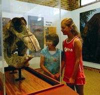 Australian Museum Diprotodon Exhibition - Accommodation Batemans Bay