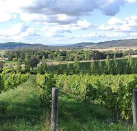 Sassy Wines - Accommodation Batemans Bay