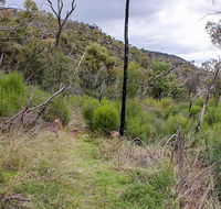 Lynchs loop trail - Accommodation Batemans Bay