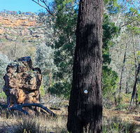 Eualdrie walking track - Accommodation Batemans Bay
