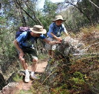 Mount Arthur Reserve - Accommodation Batemans Bay