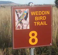 Weddin Bird Trails - Accommodation Batemans Bay