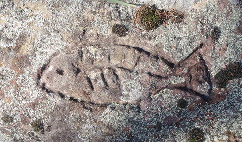Terry Hie Hie Aboriginal Area - Accommodation Batemans Bay 3