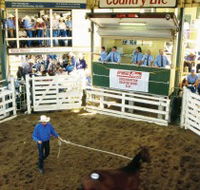 Gracemere Exhibition Complex - Accommodation Batemans Bay
