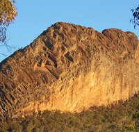 Kaputar scenic drive - Accommodation Batemans Bay