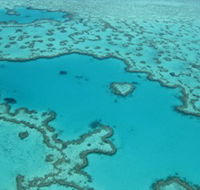 Heart Reef - Accommodation Batemans Bay