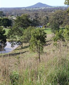 Mt Piper Nature Conservation Reserve - Accommodation Batemans Bay 1