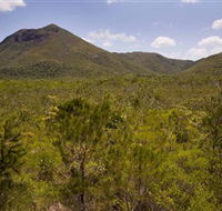 Kutini-Payamu Iron Range National Park CYPAL - Accommodation Batemans Bay