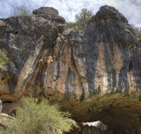 Borenore Karst Conservation Reserve - Accommodation Batemans Bay