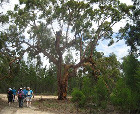 Coolatai NSW Accommodation Batemans Bay