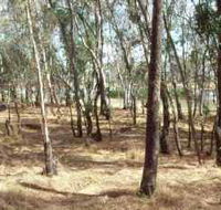 Chiltern-Mt Pilot National Park - Accommodation Batemans Bay