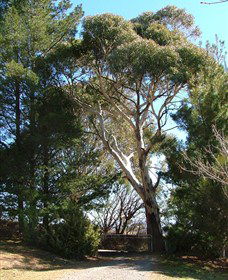 Habitat Vineyard - Accommodation Batemans Bay 1
