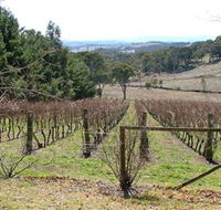 Habitat Vineyard - Accommodation Batemans Bay