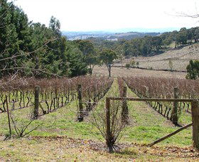 Habitat Vineyard - Accommodation Batemans Bay 0