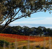 Bloodwood Estate - Accommodation Batemans Bay