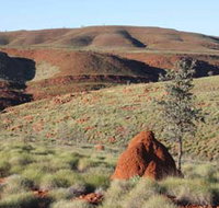 Camel Trail Millstream-Chichester National Park - Accommodation Batemans Bay