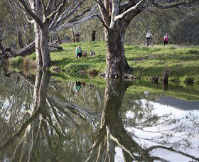 Wagirra Trail And Yindyamarra Sculpture Walk - Accommodation Batemans Bay 1
