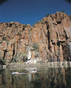 Python Pool - Accommodation Batemans Bay 3