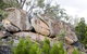 Frog Rock - thumb 1