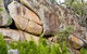 Frog Rock - thumb 0