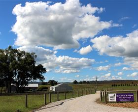 Short Sheep Micro-Winery - Accommodation Batemans Bay 8