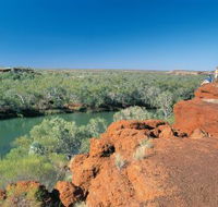 Fortescue River - Accommodation Batemans Bay