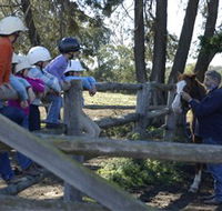 Harlow Park Horse Riding - Accommodation Batemans Bay