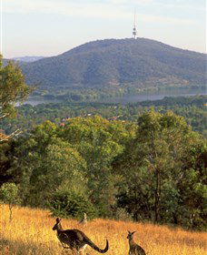 Canberra Centenary Trail - Accommodation Batemans Bay 0