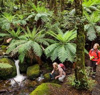 Baw Baw National Park - Accommodation Batemans Bay