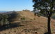Urambi Hills - thumb 1