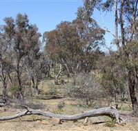 Remembrance Nature Park - Accommodation Batemans Bay