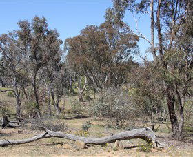 Remembrance Nature Park - Accommodation Batemans Bay 0
