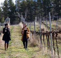 Mount Majura Vineyard - Accommodation Batemans Bay
