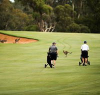 Federal Golf Club - Accommodation Batemans Bay