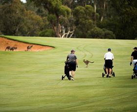 Federal Golf Club - Accommodation Batemans Bay 0