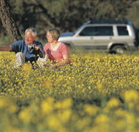 Coalseam Conservation Park - Accommodation Batemans Bay