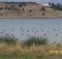 Lake Liddell Recreation Area - Accommodation Batemans Bay