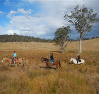 Chapman Valley Horse Riding - Accommodation Batemans Bay