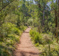 Mares Forest Creek walking track - Accommodation Batemans Bay