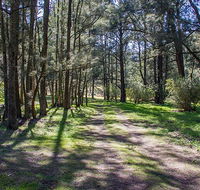 Wombeyan Waterfall walking track - Accommodation Batemans Bay