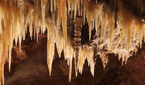Wollondilly Cave - Accommodation Batemans Bay 1