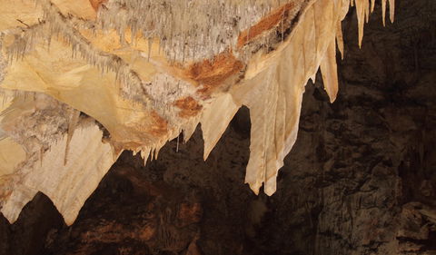 Wollondilly Cave - Accommodation Batemans Bay 3