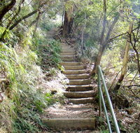 Nature track - Accommodation Batemans Bay