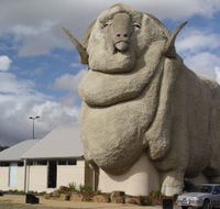 Big Merino - Accommodation Batemans Bay
