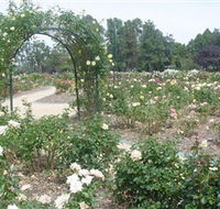 Victoria Park Rose Garden - Accommodation Batemans Bay