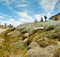Mount Kosciuszko Summit walk - Accommodation Batemans Bay