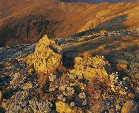 Kosciuszko National Park - Charlottes Pass To Snowy River - Accommodation Batemans Bay 1