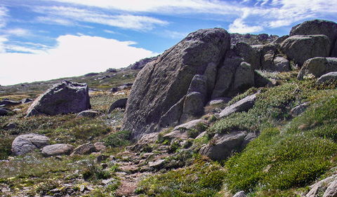 Mount Stillwell Walk - Accommodation Batemans Bay 0